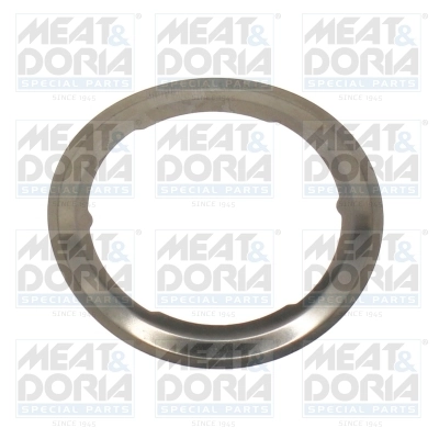 Gasket, EGR valve